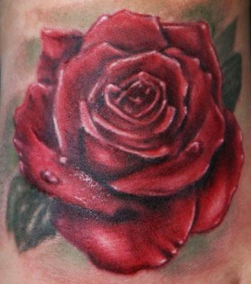 Tattoos - Rose - 63078
